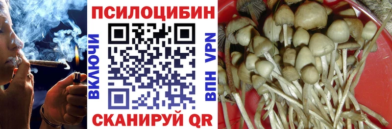 Галлюциногенные грибы ЛСД  купить закладку  Сургут 